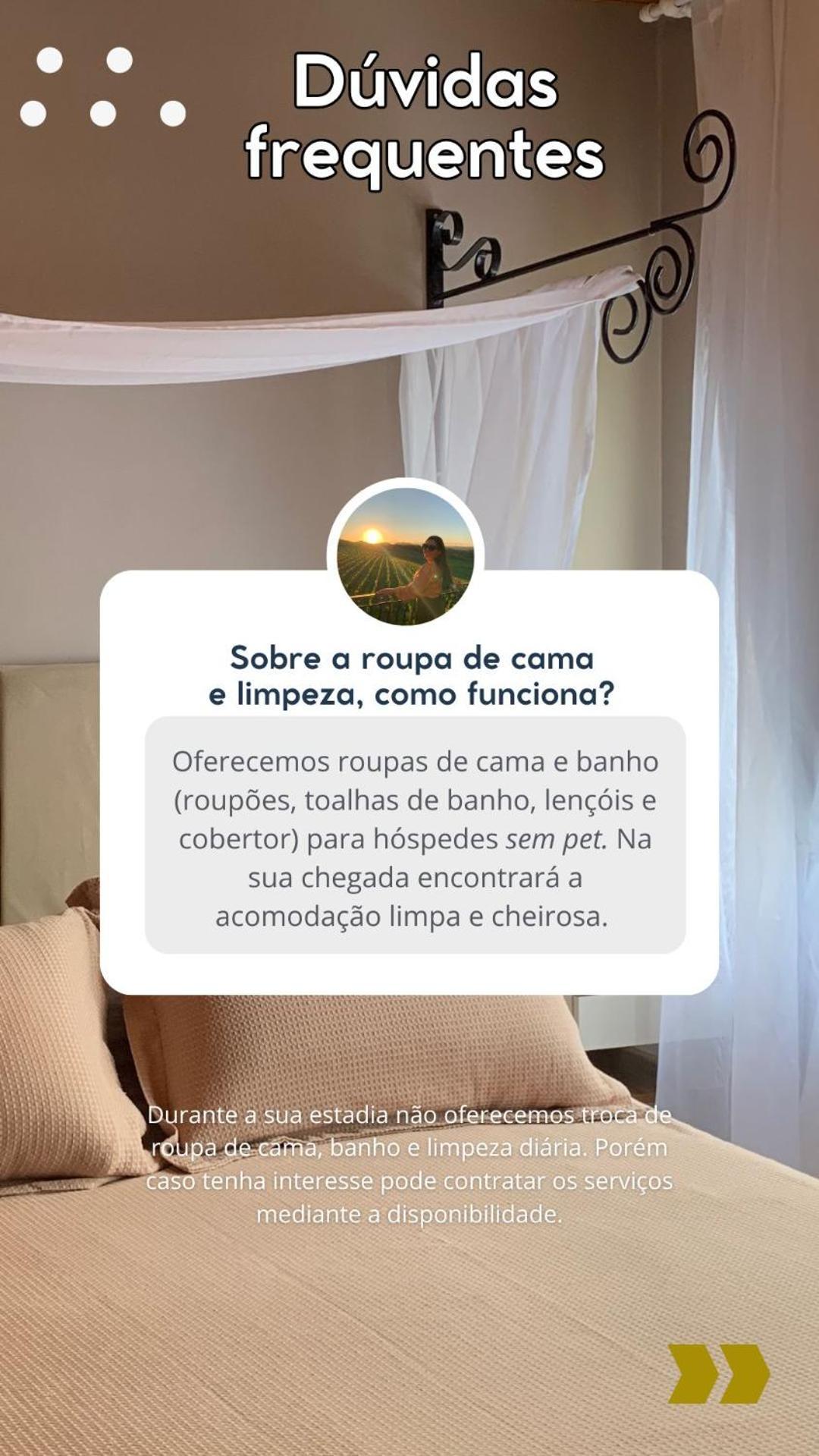 Casa Na Arvore Com Hidro, Piscina, Trilha, Cavalo Bento Gonçalves Exterior foto