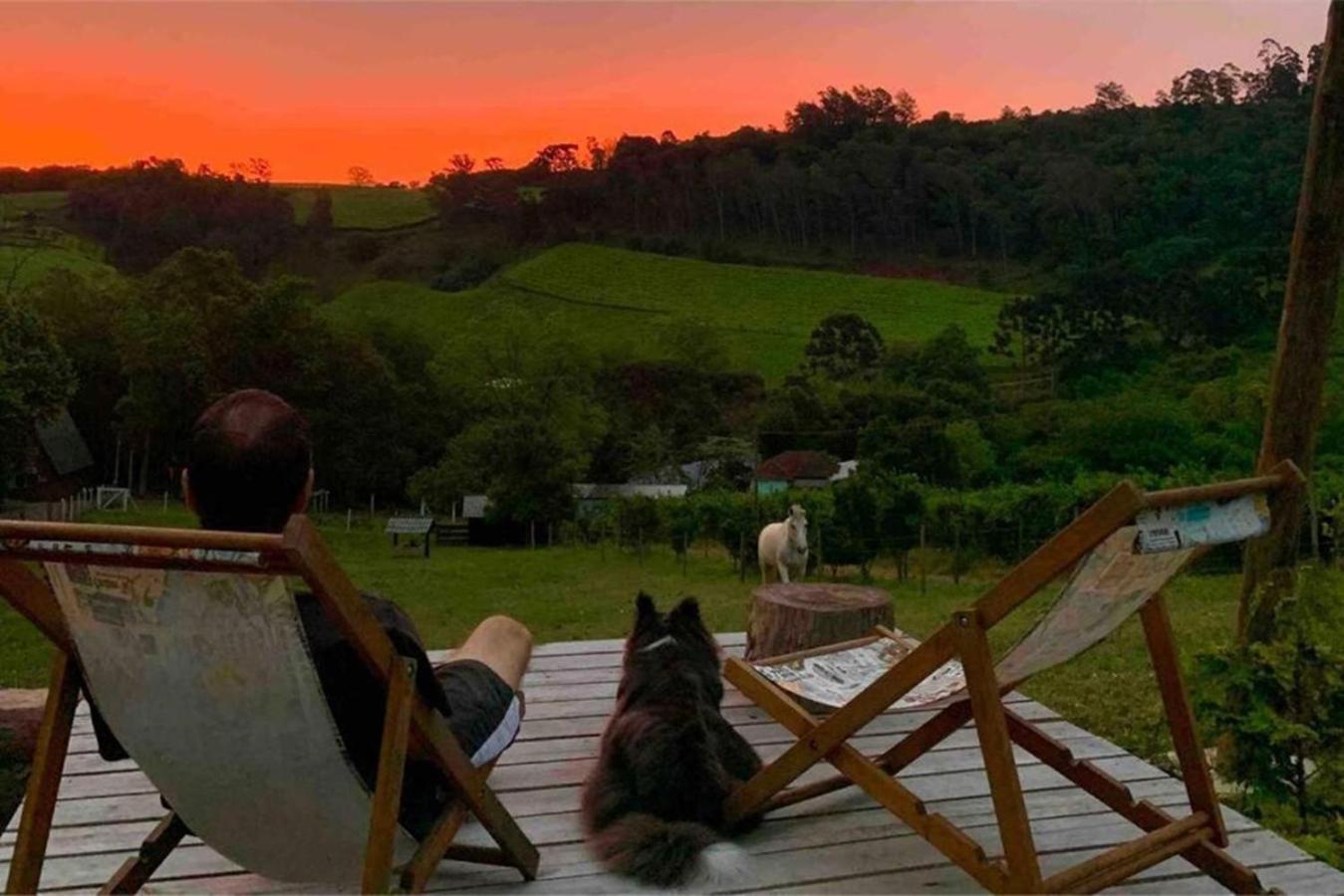 Casa Na Arvore Com Hidro, Piscina, Trilha, Cavalo Bento Gonçalves Exterior foto