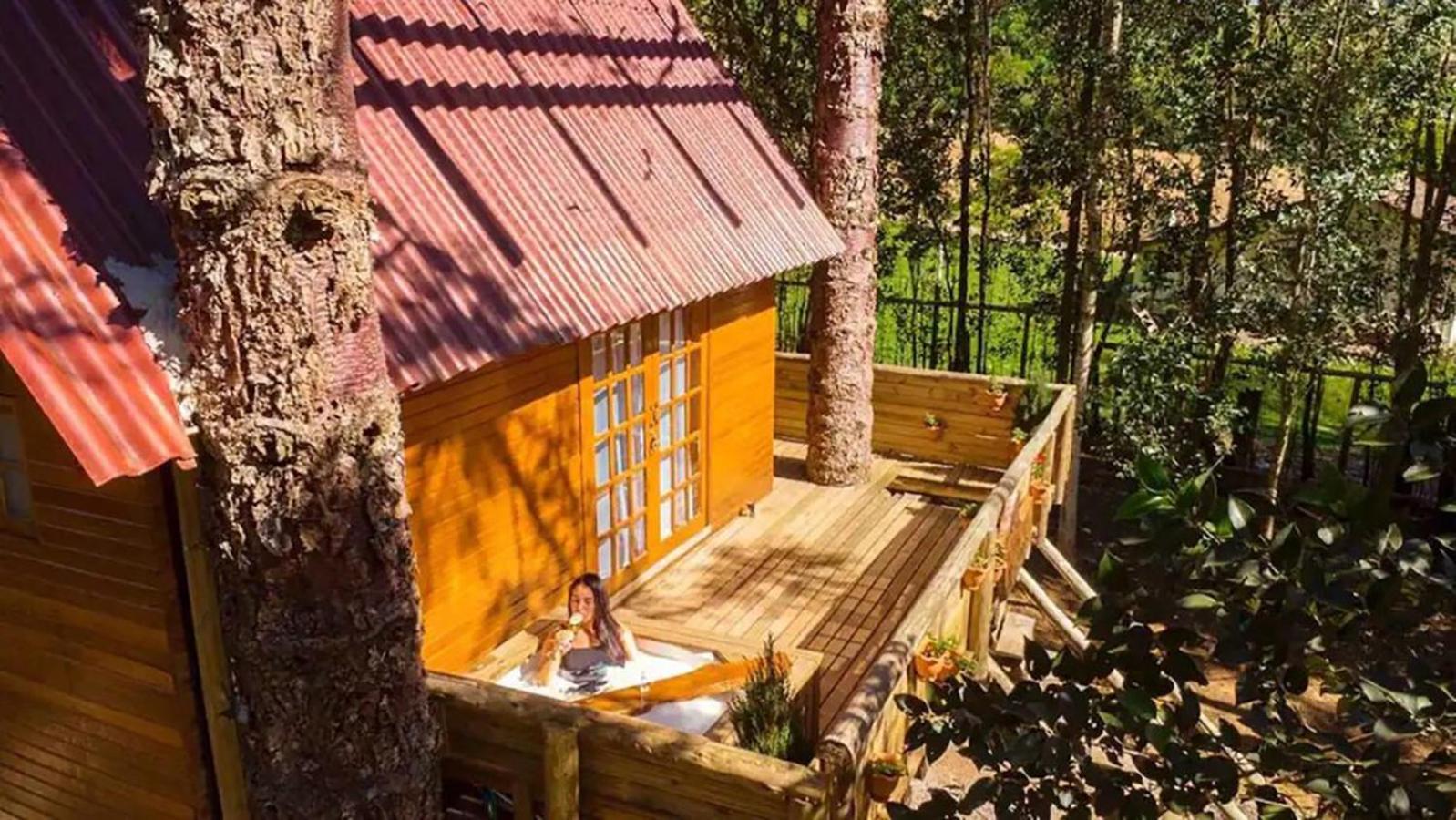 Casa Na Arvore Com Hidro, Piscina, Trilha, Cavalo Bento Gonçalves Exterior foto